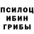 Галлюциногенные грибы GOLDEN TEACHER Manuela Patzel