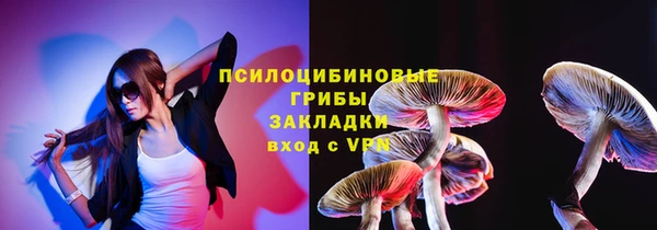 хмурый Дмитровск