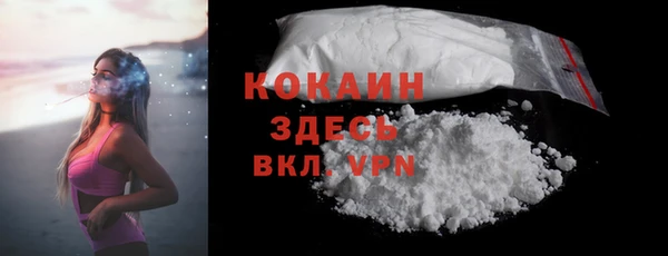 дживик Дмитров