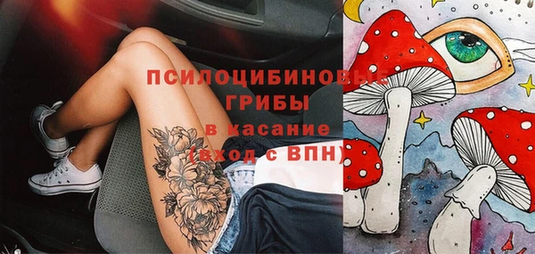 дживик Дмитров