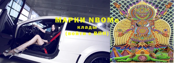 дживик Дмитров
