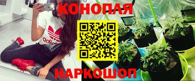 ECSTASY Гусиноозёрск