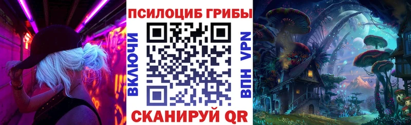 OMG ТОР  Заводоуковск  Галлюциногенные грибы ЛСД 