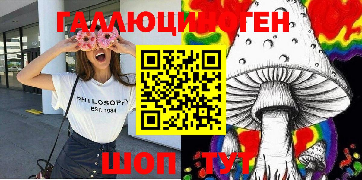 Псилоцибиновые грибы Psilocybine cubensis Заводоуковск