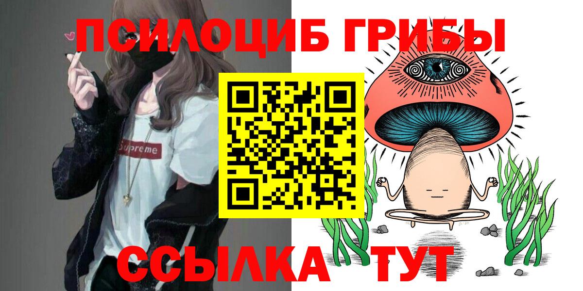Галлюциногенные грибы Psilocybe  Заводоуковск 